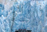 Tracy Arm Fjord Glacier Cruise Excursion for Alaska Cruises