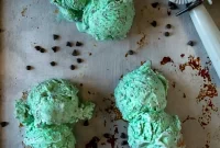 Creamy Homemade Mint Chocolate Chip Ice Cream Recipe