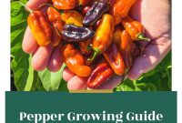 Complete Guide to Growing Peppers at Home