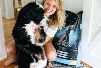 Choosing the Right Dog Food: A Practical Buying Guide