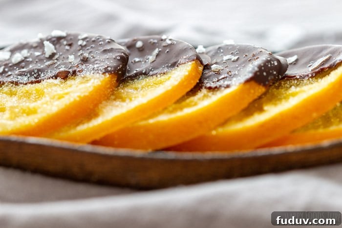Gourmet Candied Oranges Dipped in Chocolate