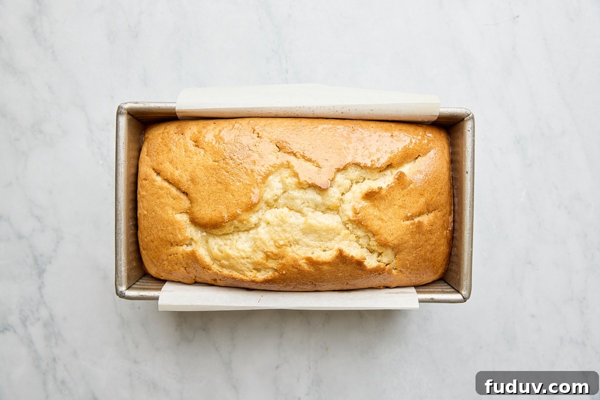 Baked lemon loaf cake in parchment-lined loaf pan