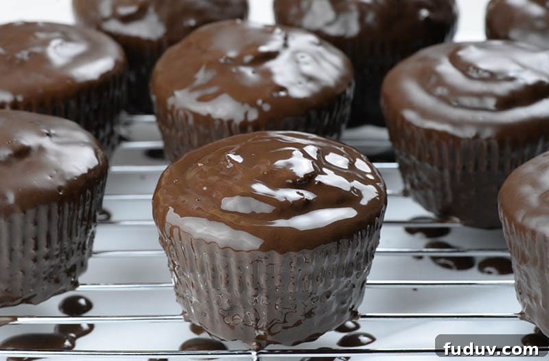Chocolate glazed chocolate cupcake.