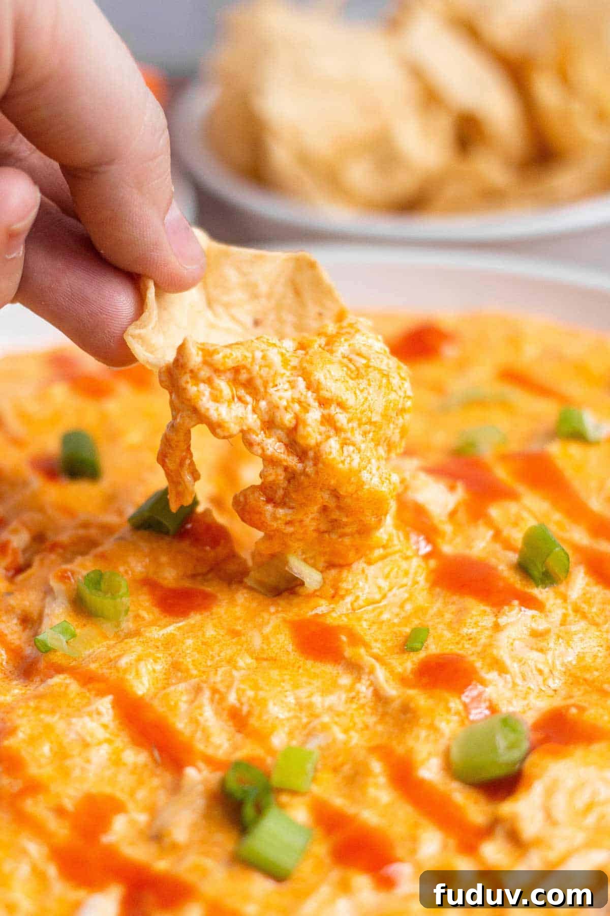 A tortilla chip scooping up buffalo chicken dip, garnished with green onions.