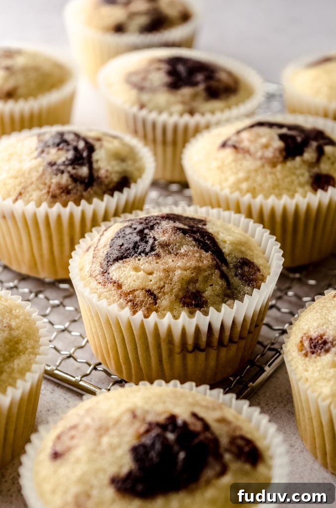 Unfrosted marble cupcakes on a cooling rack