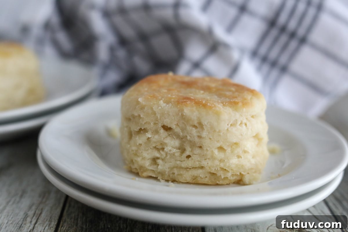 buttermilk biscuit on a white plate