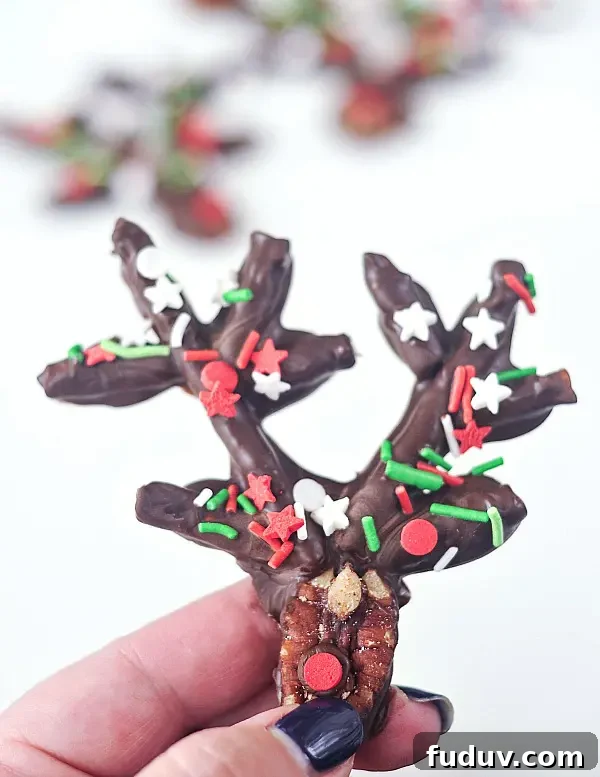 a hand holding a chocolate pretzel reindeer against white background