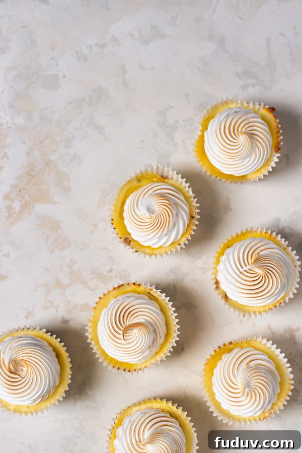 Mini Lemon Cheesecakes Recipe: Zesty Bite-Sized Desserts 2 Mini lemon cheesecakes