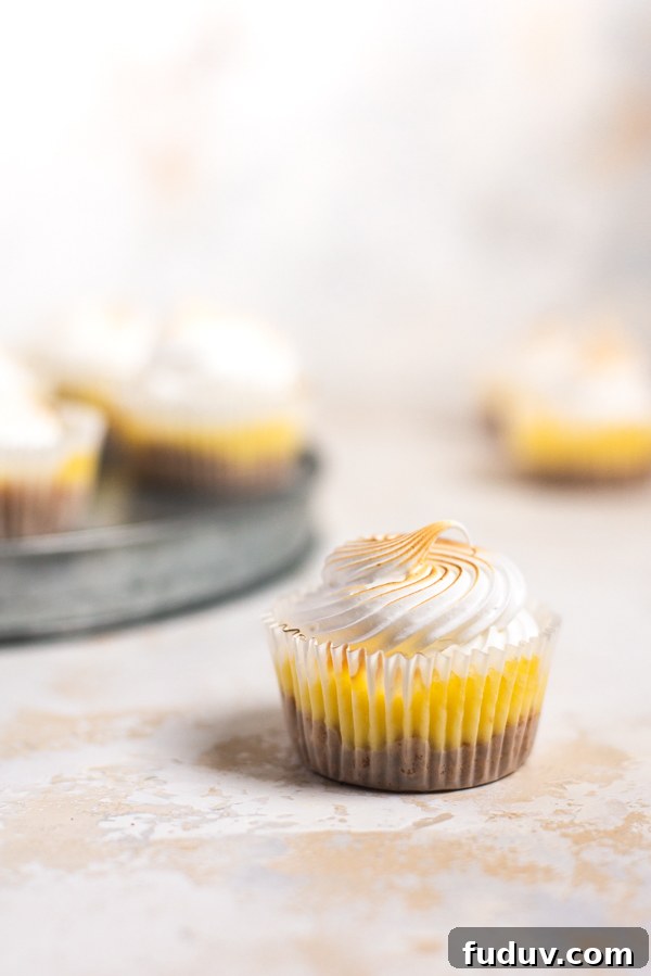 Mini Lemon Cheesecakes Recipe: Zesty Bite-Sized Desserts 11 Finished mini lemon cheesecakes
