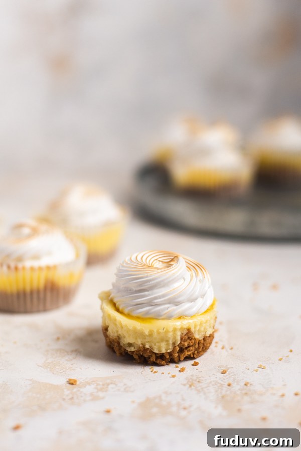 Mini Lemon Cheesecakes Recipe: Zesty Bite-Sized Desserts 12 Served mini lemon cheesecakes