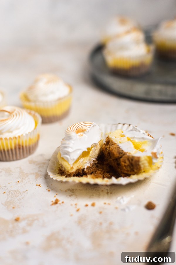 Mini Lemon Cheesecakes Recipe: Zesty Bite-Sized Desserts 3 Mini cheesecakes in pan
