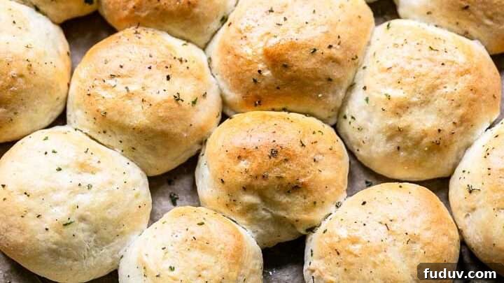 Homemade Dinner Rolls