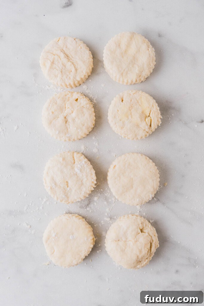 Crispy Air Fryer Biscuits: Quick Flaky Homemade Recipe 10 cut biscuits on a white floured surface.