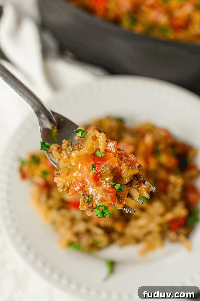 A fork full of the beef and rice dish.