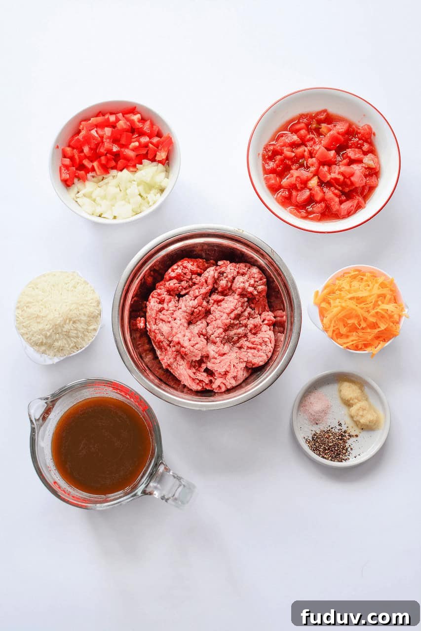 Ground beef, tomatoes, cheese, beef broth and seasonings.