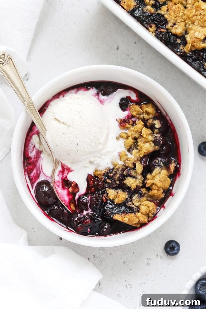 Overhead view of gluten-free blueberry crisp topped with melting vanilla ice cream