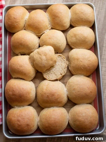 whole wheat hamburger buns