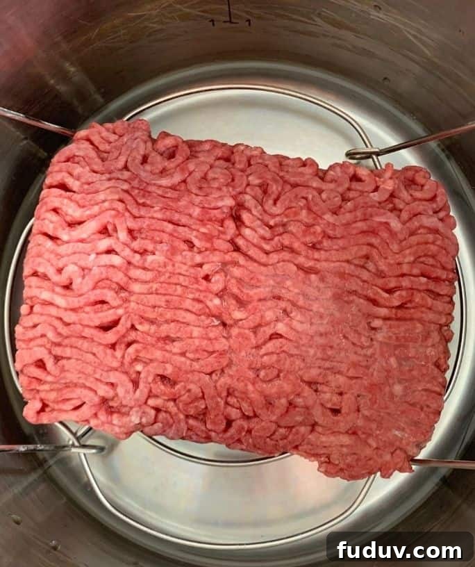 raw, frozen ground beef in the Instant Pot, ready for cooking