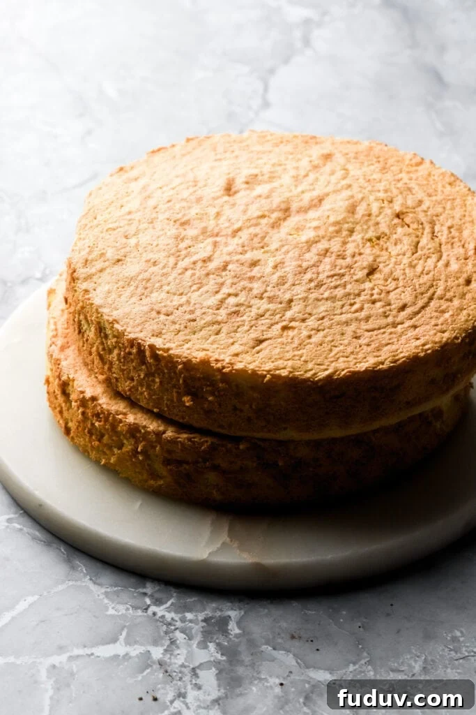 two thick layers of genoise stacked