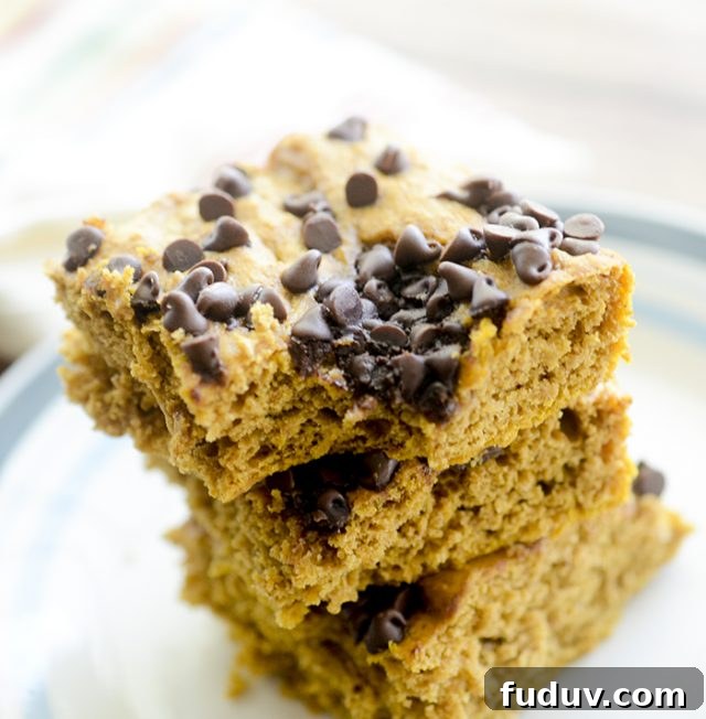 Pumpkin Chocolate Chip Bars