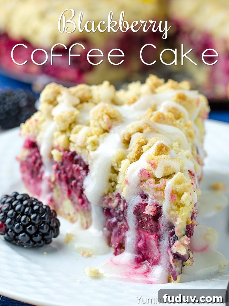 Moist Blackberry Coffee Cake Recipe with Sweet Crumble Topping 2 Blackberry Coffee Cake