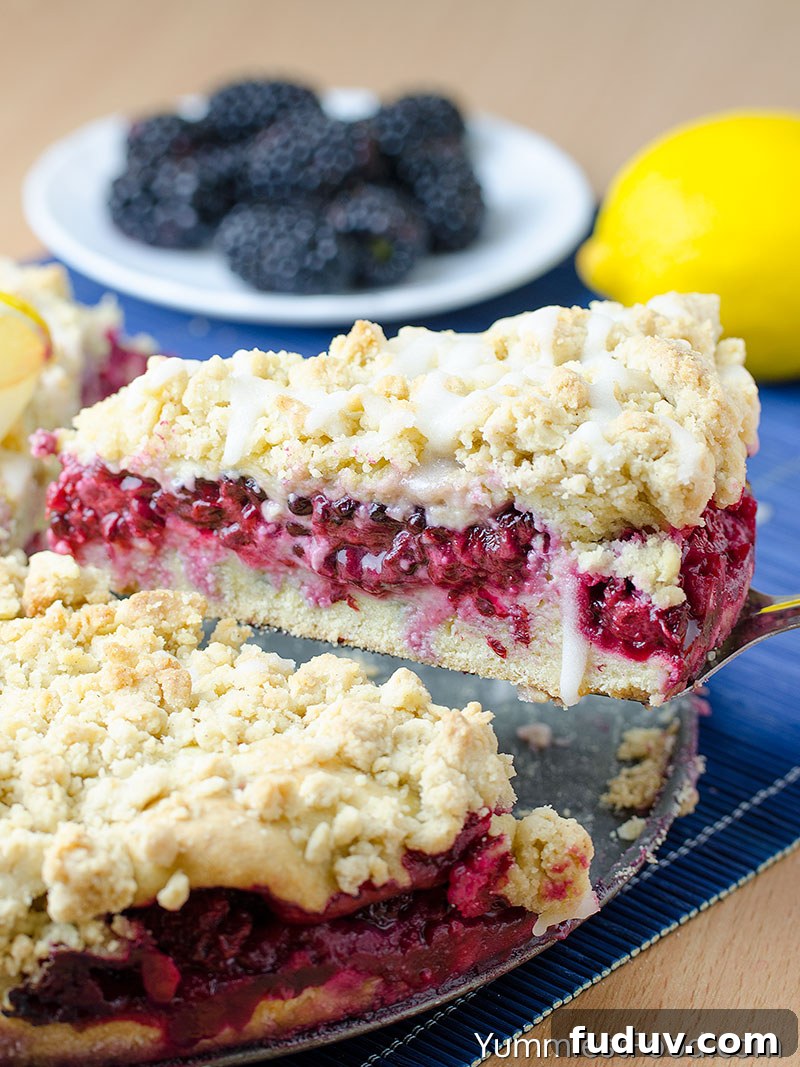 Moist Blackberry Coffee Cake Recipe with Sweet Crumble Topping 3 Coffee Cake