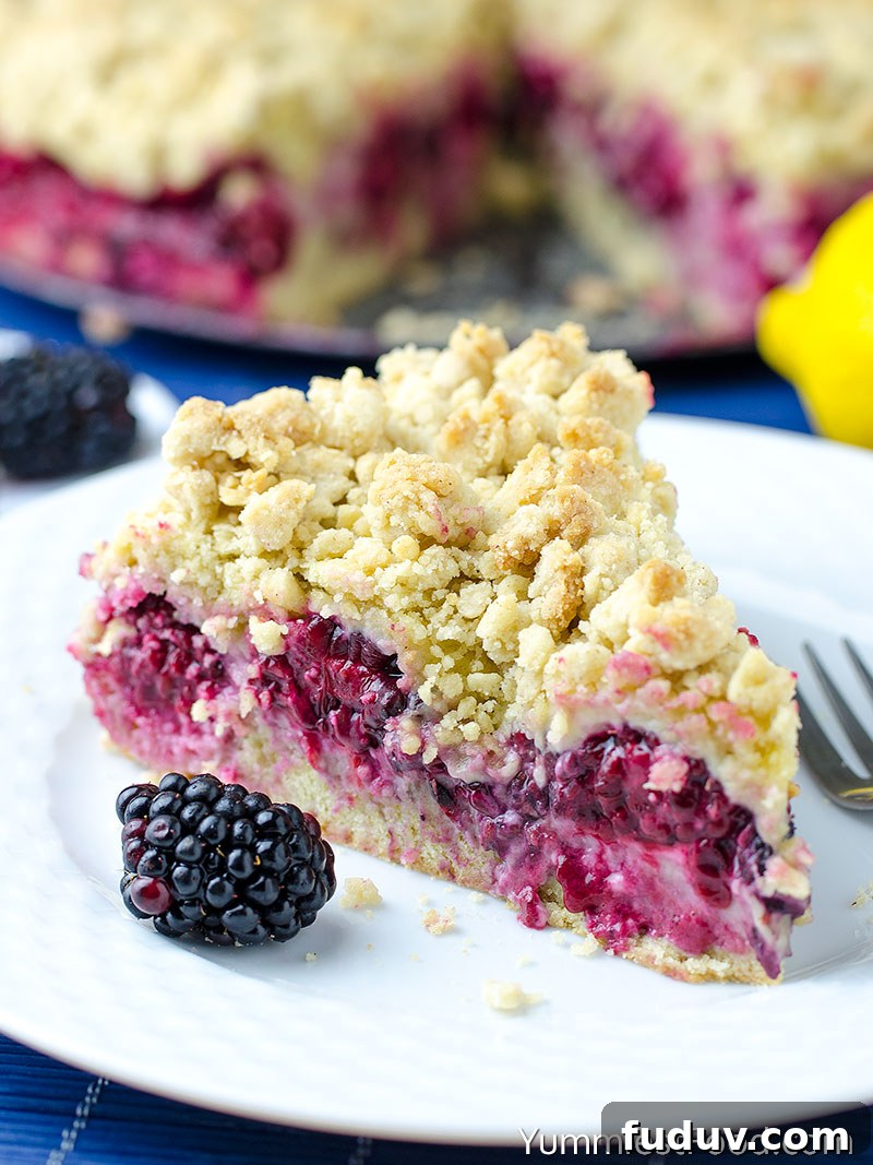 Moist Blackberry Coffee Cake Recipe with Sweet Crumble Topping 4 Blackberry Cake