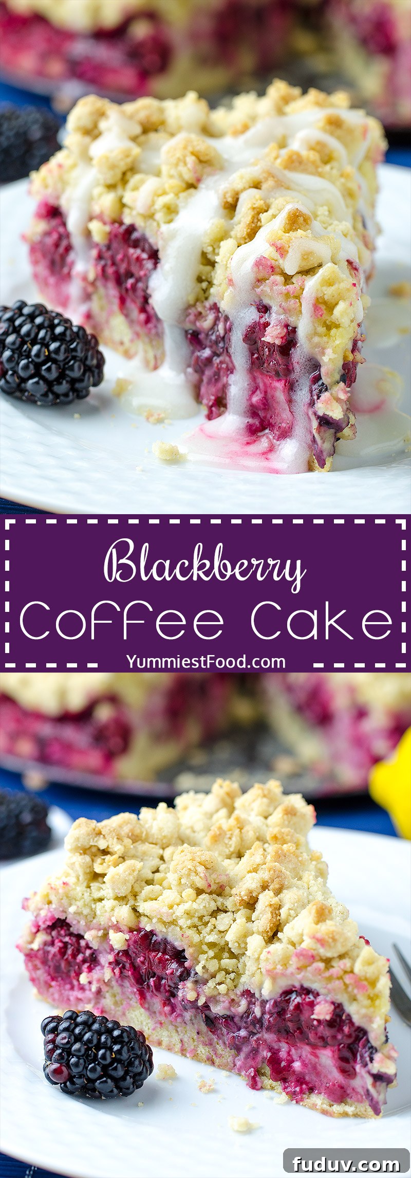 Moist Blackberry Coffee Cake Recipe with Sweet Crumble Topping 9 Blackberry Coffee Cake - light, fluffy and very delicious