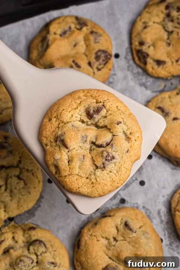 Chocolate Chip cookie on a spatula over the air fryer basket