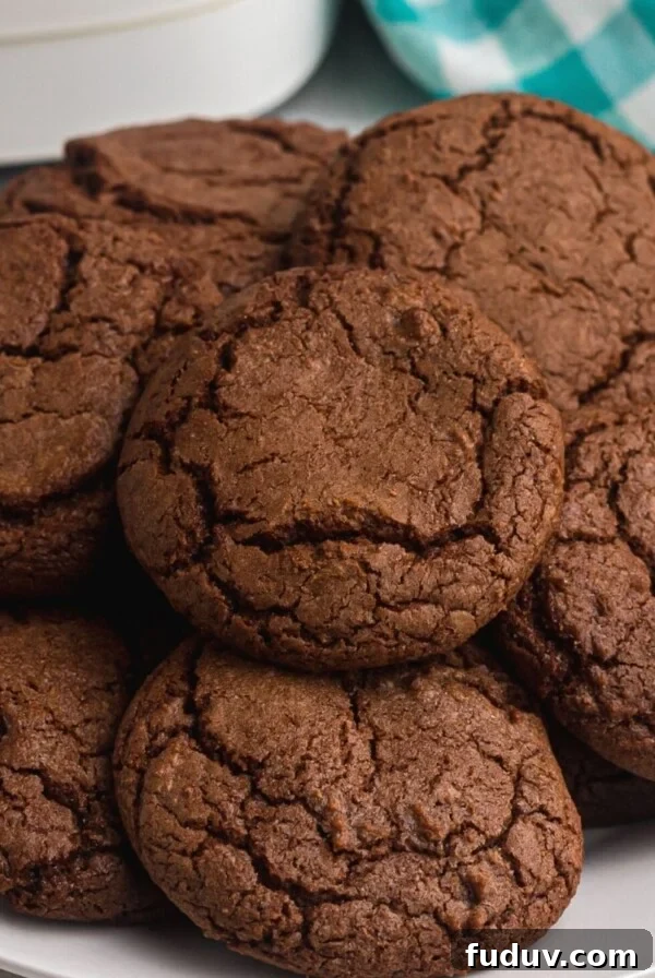 Gooey chocolate cookies on a white plate in front of an air fryer.