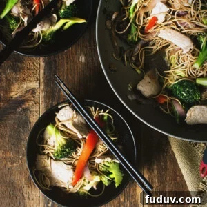 Wok Fried Pork Lo Mein | Kita Roberts GirlCarnivore.com