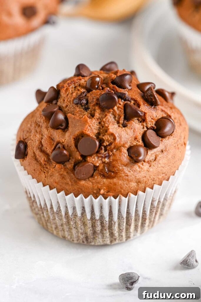Healthy Chocolate Chip Muffins from the Top