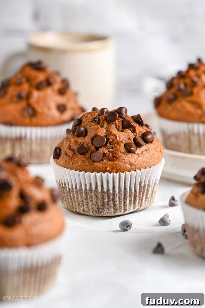 Healthy Chocolate Chip Muffins from Far
