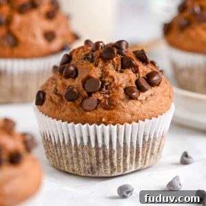 Chocolate Chip Muffins