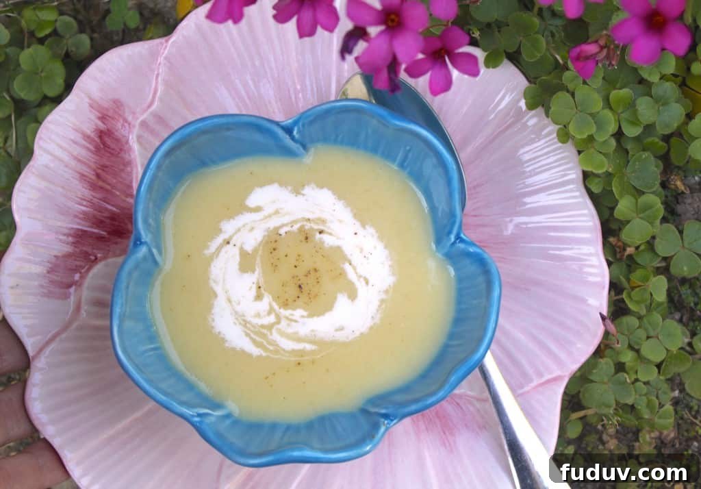 leek and potato soup