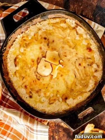 Vidalia Onion Dip with Swiss cheese featured image.