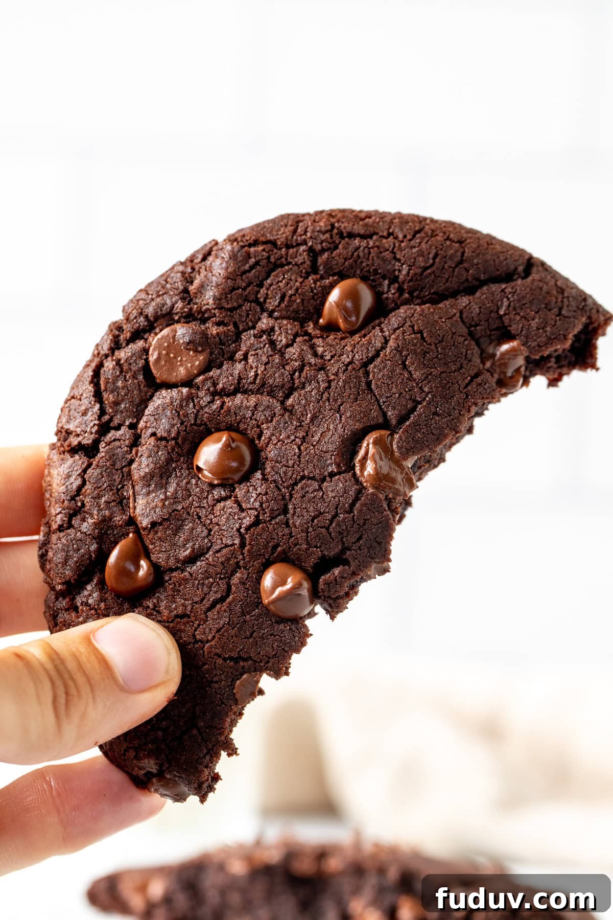 Piece of giant double chocolate cookie