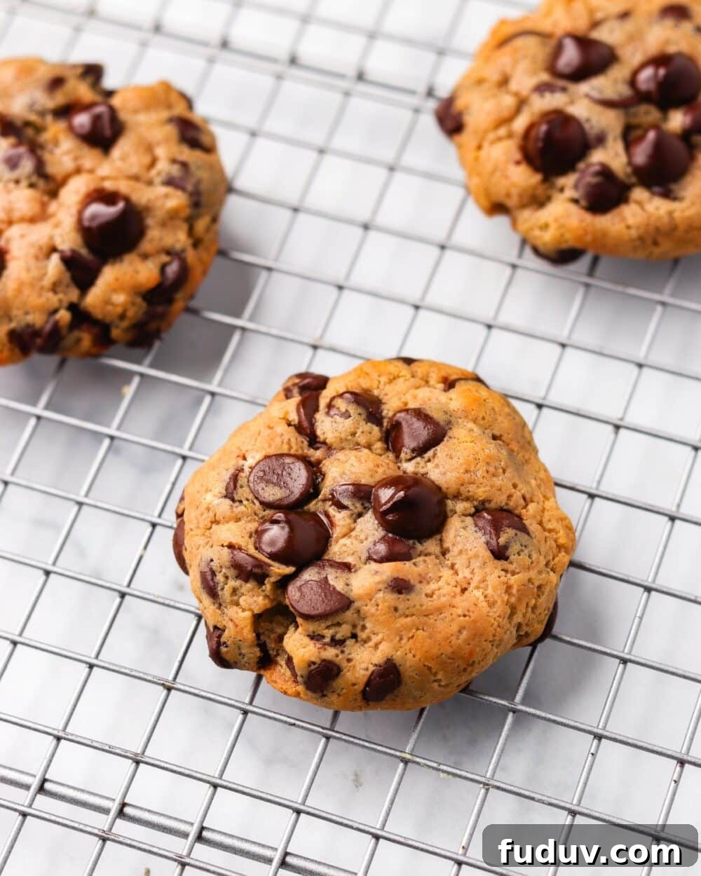 25 High-Protein, Low-Carb Breakfast Recipes to Start Your Day 6 Chocolate Chip Protein Cookies