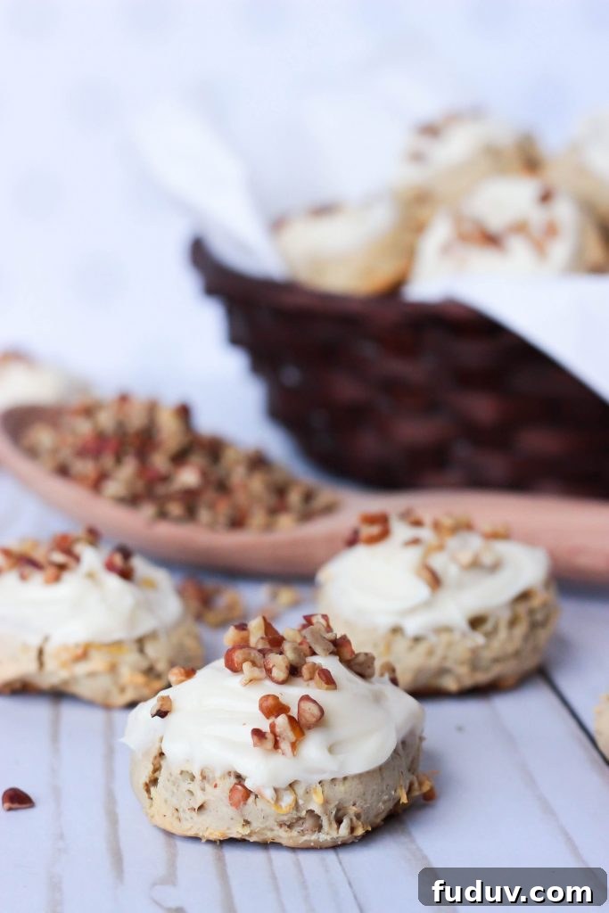 Hummingbird Cookies