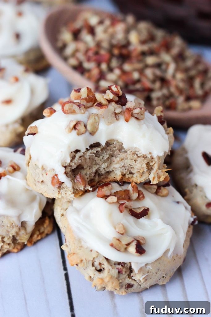 Hummingbird Cookies