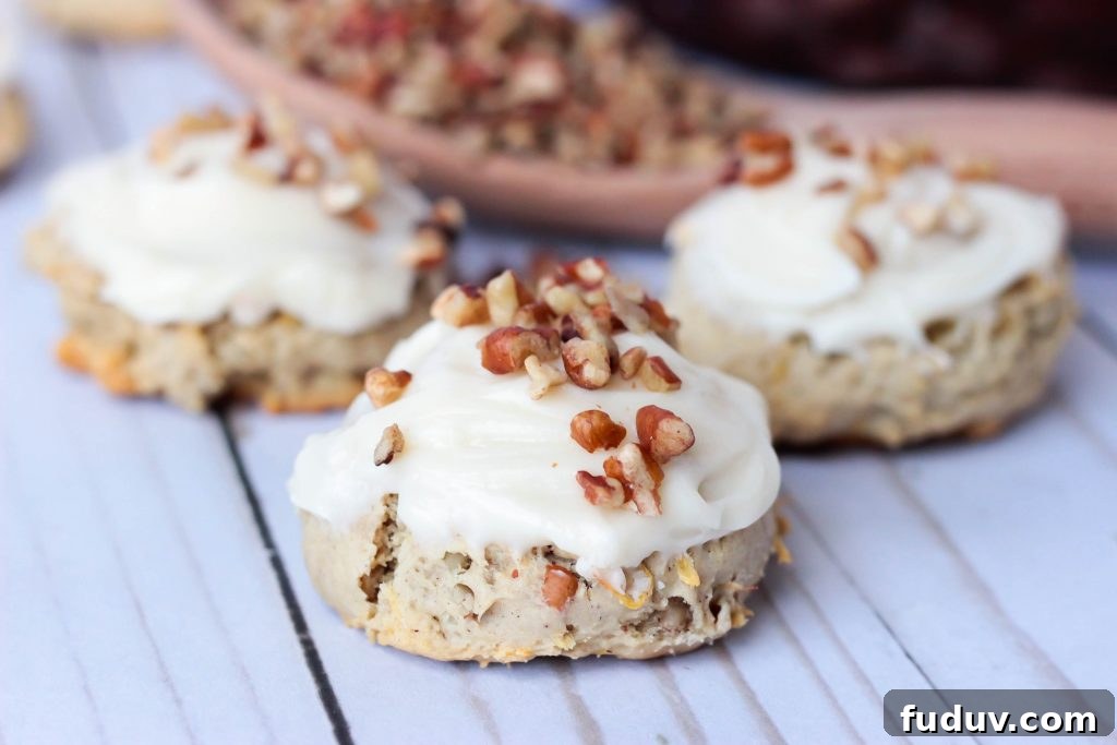 Hummingbird Cookies