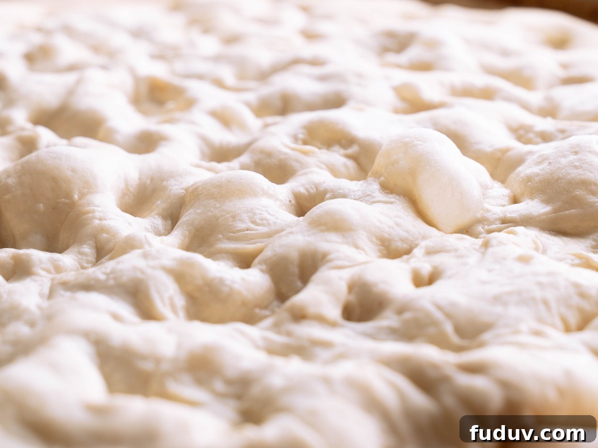 Close up texture and bubbles of proofed sourdough bread