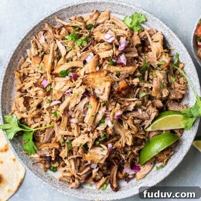 Carnitas shown piled on a serving platter with tortillas and pico de gallo.
