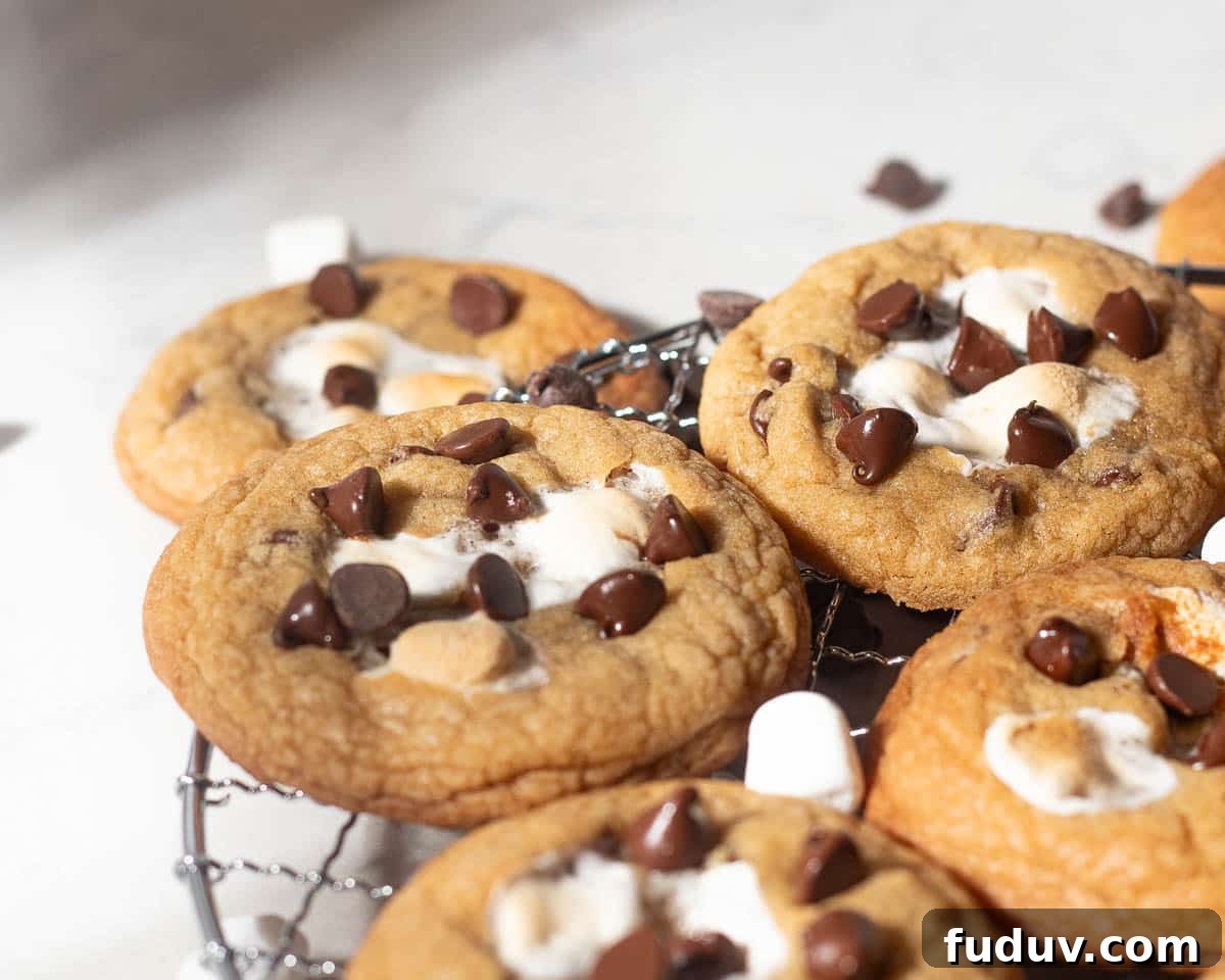 Chewy Chocolate Chip and Gooey Marshmallow Cookies 14 Chocolate chip marshmallow cookies on a wire rack, with golden edges and melted chocolate and marshmallow centers, styled for presentation.