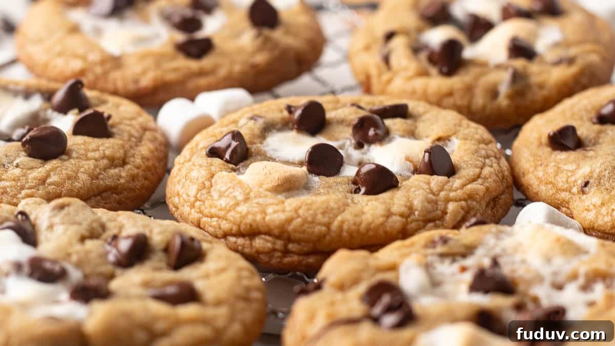 Chewy Chocolate Chip and Gooey Marshmallow Cookies 3 Close-up of several chocolate chip marshmallow cookies with toasted marshmallow centers and shiny melted chocolate chips.