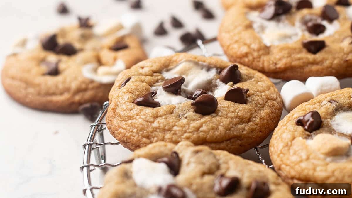Chewy Chocolate Chip and Gooey Marshmallow Cookies 4 Side view of freshly baked chocolate chip marshmallow cookies, showing gooey marshmallow centers and melted chocolate chips on a cooling rack.