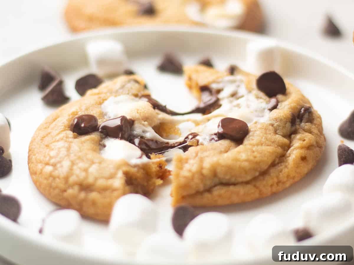Chewy Chocolate Chip and Gooey Marshmallow Cookies 6 A plate with a chocolate chip marshmallow cookie broken in half, revealing melted marshmallow and chocolate inside, surrounded by mini marshmallows and chocolate chips.