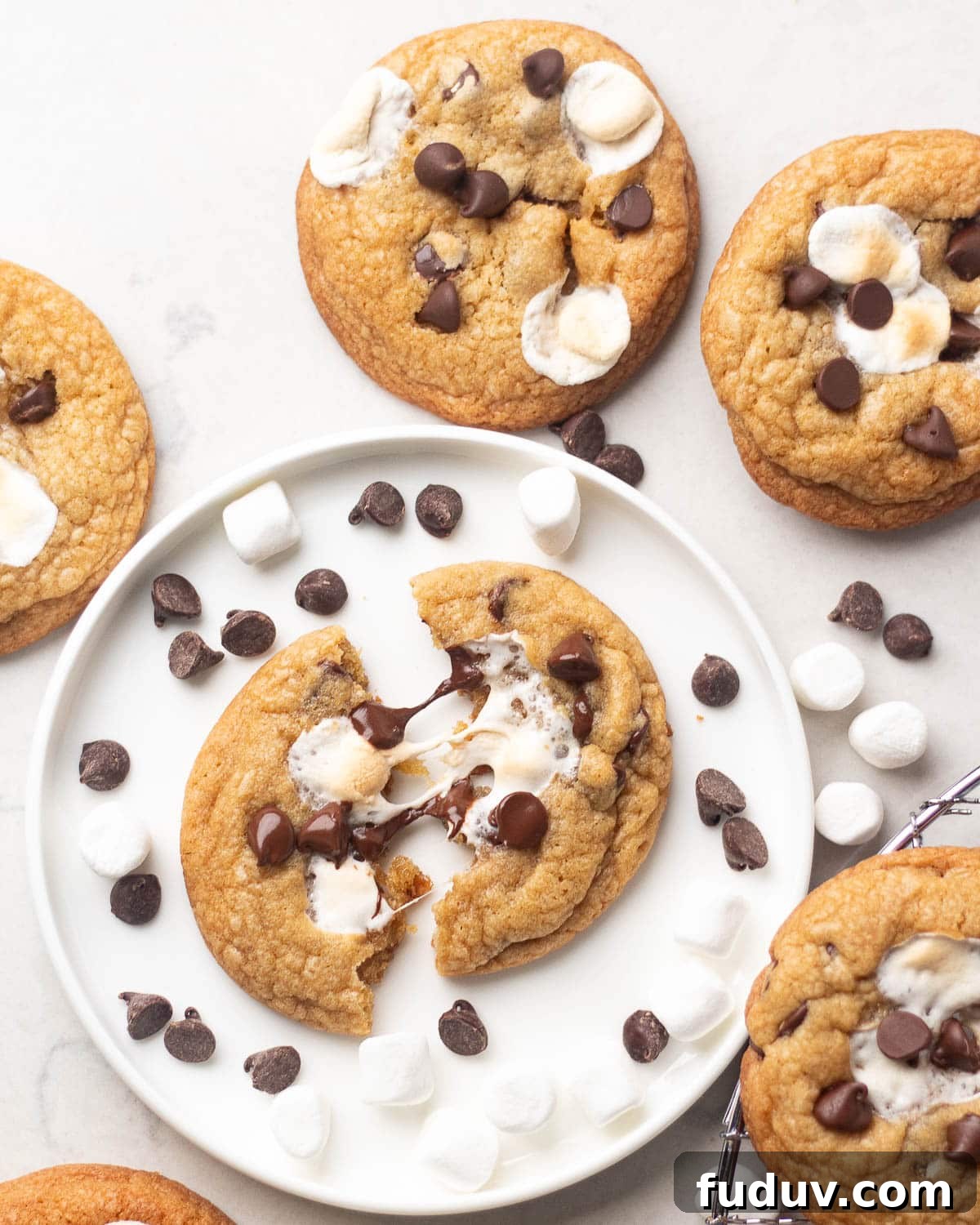 Chewy Chocolate Chip and Gooey Marshmallow Cookies 7 A plate with a chocolate chip marshmallow cookie broken in half, revealing melted marshmallow and chocolate inside, surrounded by mini marshmallows and chocolate chips.