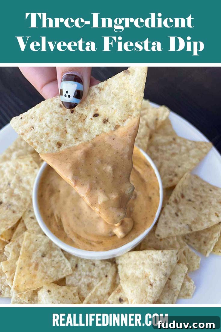 Creamy 3-Ingredient Velveeta Fiesta Dip Recipe 8 Pinterest picture of Three-Ingredient Velveeta Fiesta Dip with the text of the title at the top.