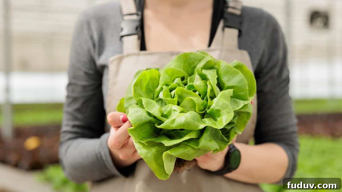 woman holding lettuce